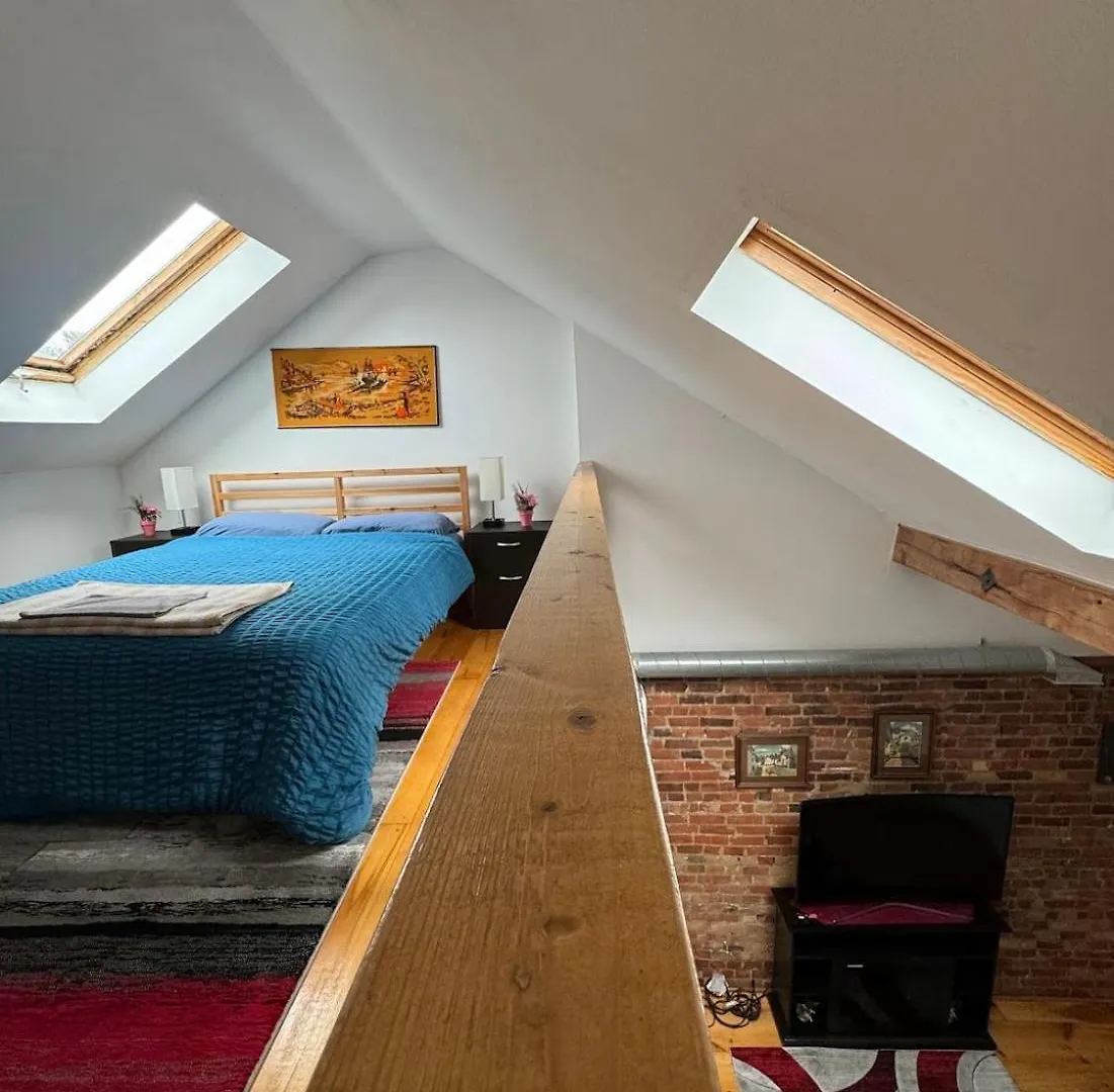 Spacious Townhouse Close To Dundas Square! Toronto Guest house