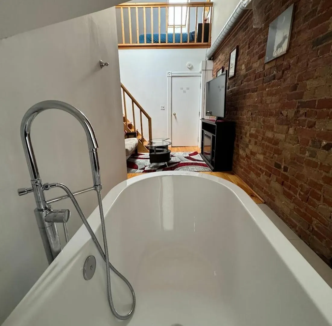 Spacious Townhouse Close To Dundas Square!